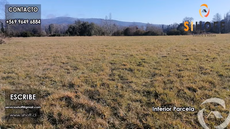 Se Vende Parcela en Sector Gorbea, La Araucania - Imagen 3