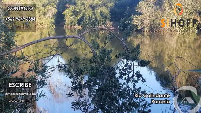 Se Vende Parcela en Sector Gorbea, La Araucania - Imagen 12