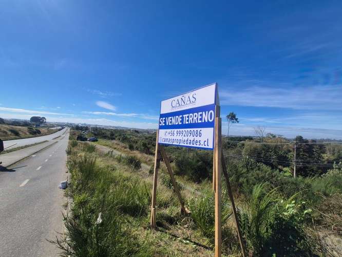 Buscas Terreno Urbano en Ruta 5: (Alto Bonito 7500 m2)