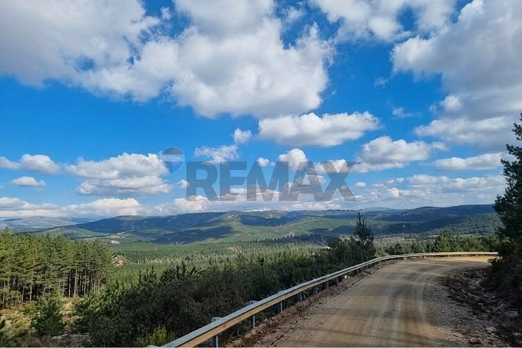 Venta de parcela en hualañe