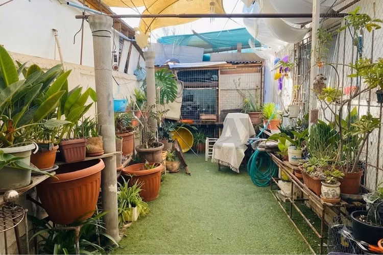 Venta de casa en lo espejo - Imagen 14