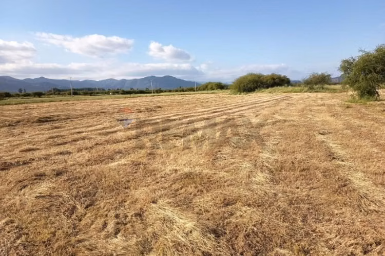 Parcela en los mayos: inversión tranquila y segura - Imagen 1