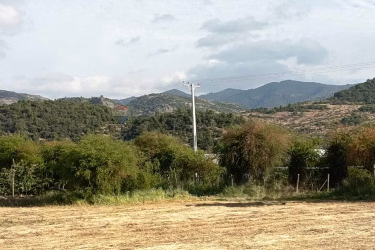 Parcela en los mayos: inversión tranquila y segura - Imagen 3