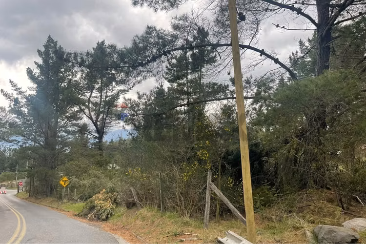 Terreno triangulo camino al volcán, pucón - Imagen 14