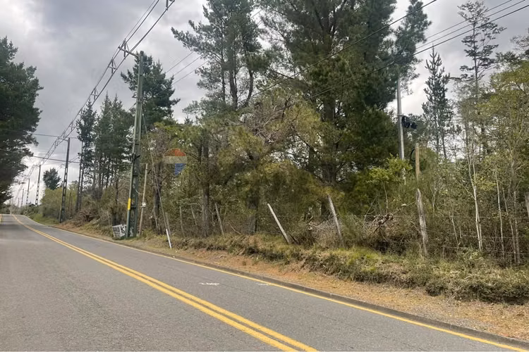 Terreno triangulo camino al volcán, pucón - Imagen 7