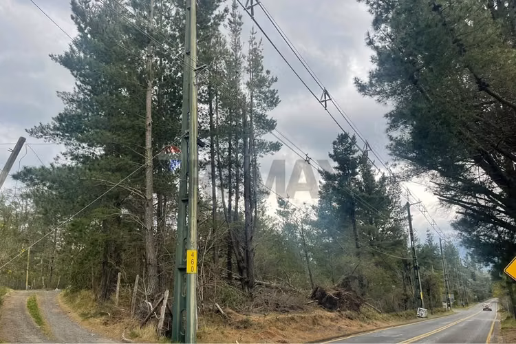 Terreno triangulo camino al volcán, pucón - Imagen 10