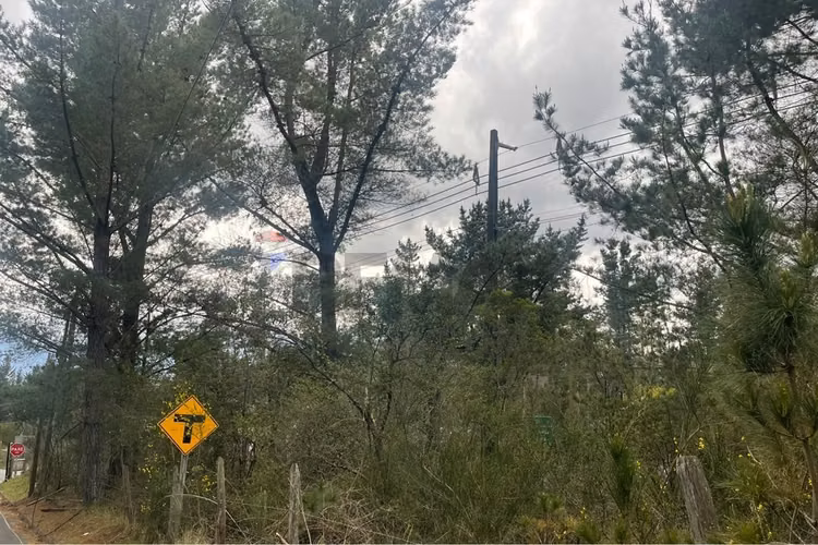 Terreno triangulo camino al volcán, pucón - Imagen 24