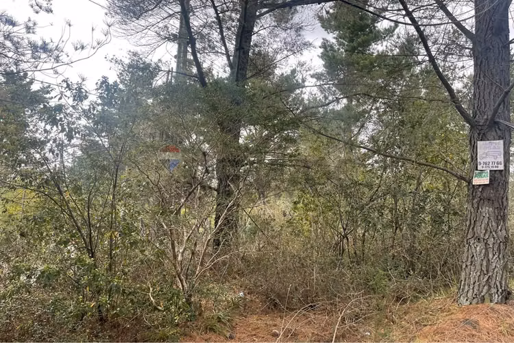 Terreno triangulo camino al volcán, pucón - Imagen 17
