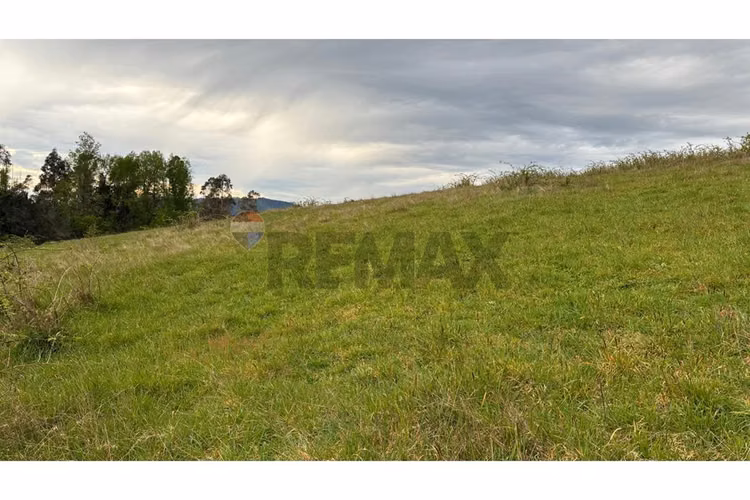 Venta parcela en 6ta faja - Imagen 13
