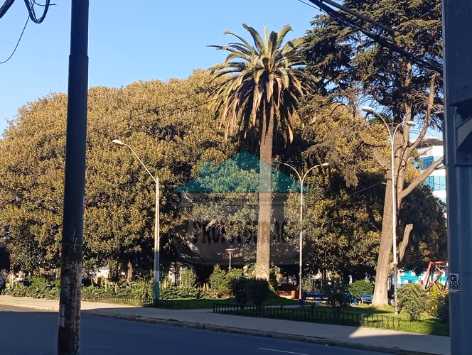 LOCALES COMERCIALES EN ARRIENDO PLENO VALPAPAÍSO