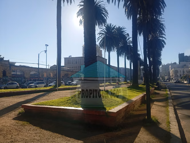 LOCALES COMERCIALES EN ARRIENDO PLENO VALPAPAÍSO
