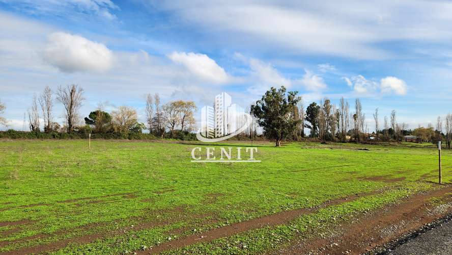 PARCELAS EN VENTA SAN CLEMENTE, 25 MIN DE TALCA