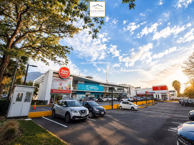 Paño Inmobiliario La Reina 5300 M2 - Imagen 8