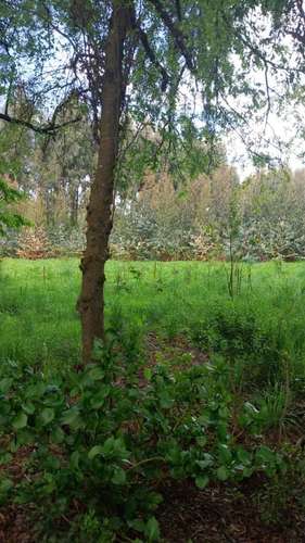 EN VENTA! Terreno de 5.000 m² con Ubicación Estratégica en La Unión