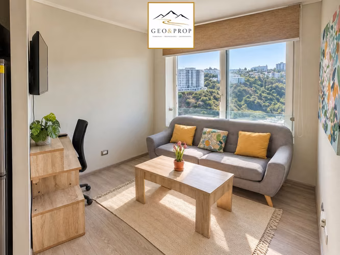 Venta 1d 1b+Bodega XL  Valparaiso Cerro Placeres - Imagen 1