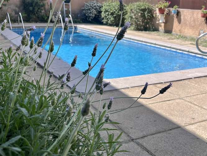 Amplitud, 2 dormitorios, 63 m2, primer piso