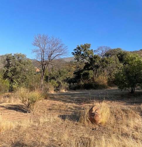 VENTA TERRENO - SITIO 8363MTS Santiago - Imagen 2