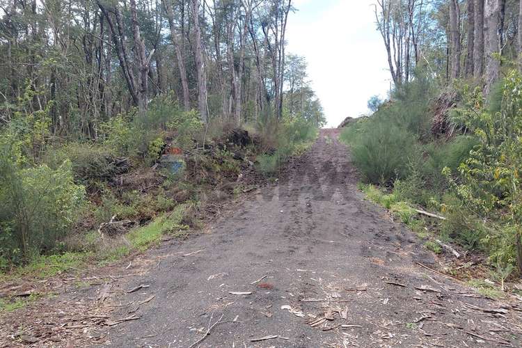 Venta de parcela con acceso al río trancura - Imagen 20