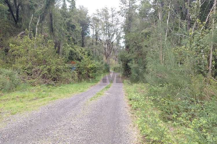 Venta de parcela con acceso al río trancura - Imagen 21
