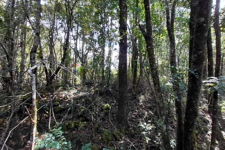 Venta de parcela con acceso al río trancura - Imagen 11
