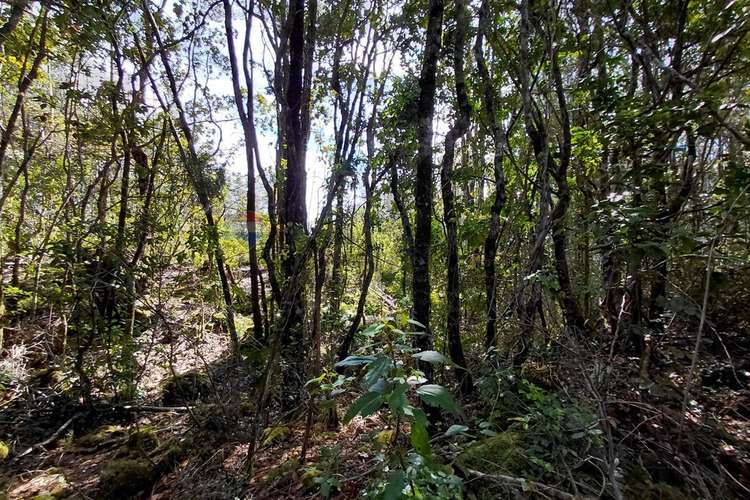 Venta de parcela con acceso al río trancura - Imagen 15
