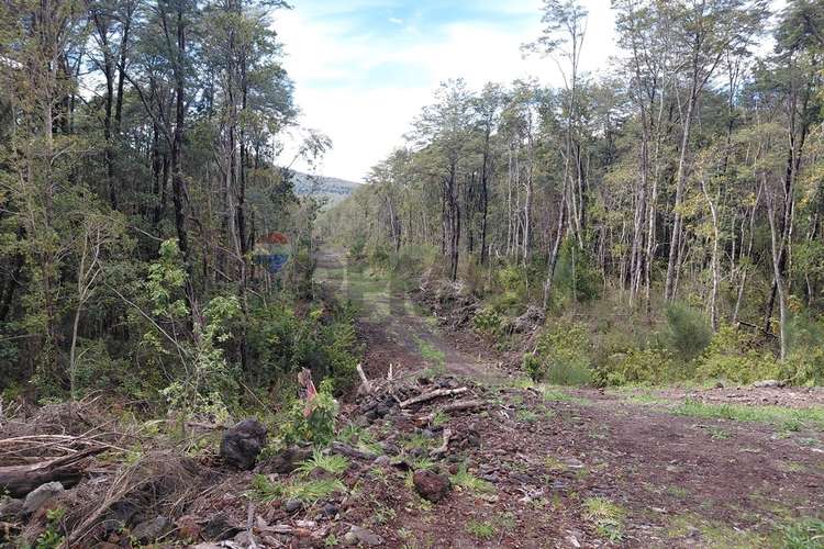 Venta de parcela con acceso al río trancura - Imagen 19