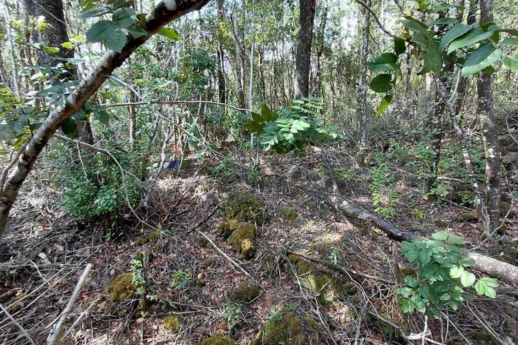 Venta de parcela con acceso al río trancura - Imagen 10