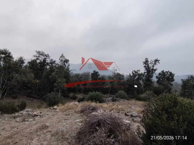 PARCELA, 5342 MTS, SECTOR PARQUE CANTILLA, PAINE - Imagen 15