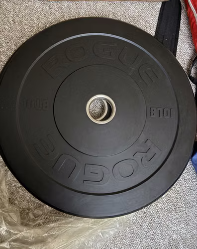 Discos  ROGUE MIL SPEC ECHO  Bumper 10 LB