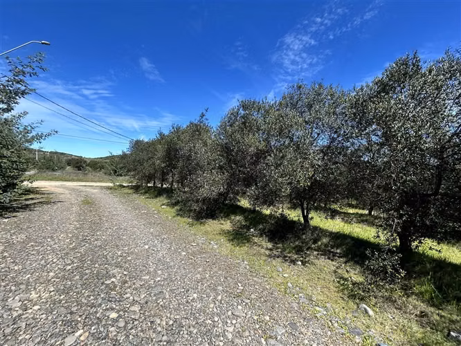Terreno en Venta a 15 min Centro de Talca - Imagen 20