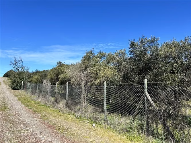 Terreno en Venta a 15 min Centro de Talca - Imagen 15