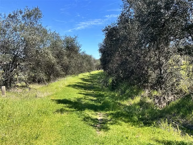 Terreno en Venta a 15 min Centro de Talca - Imagen 3