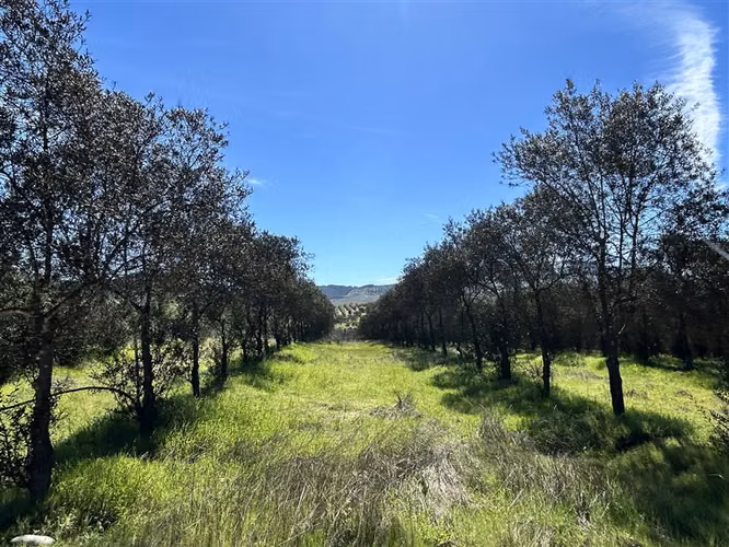 Terreno en Venta a 15 min Centro de Talca - Imagen 31