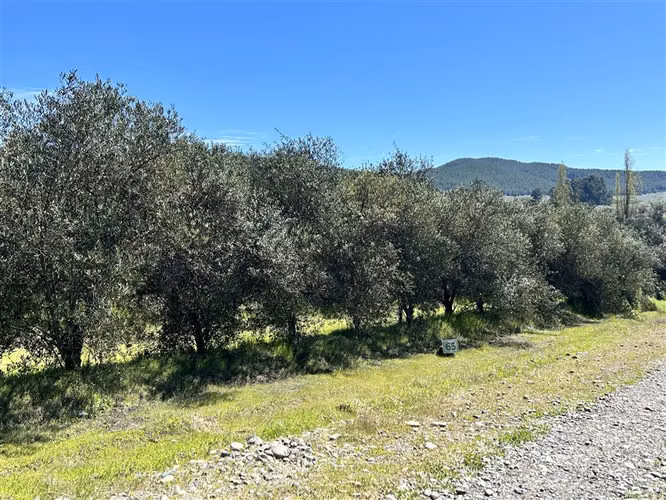Terreno en Venta a 15 min Centro de Talca - Imagen 8