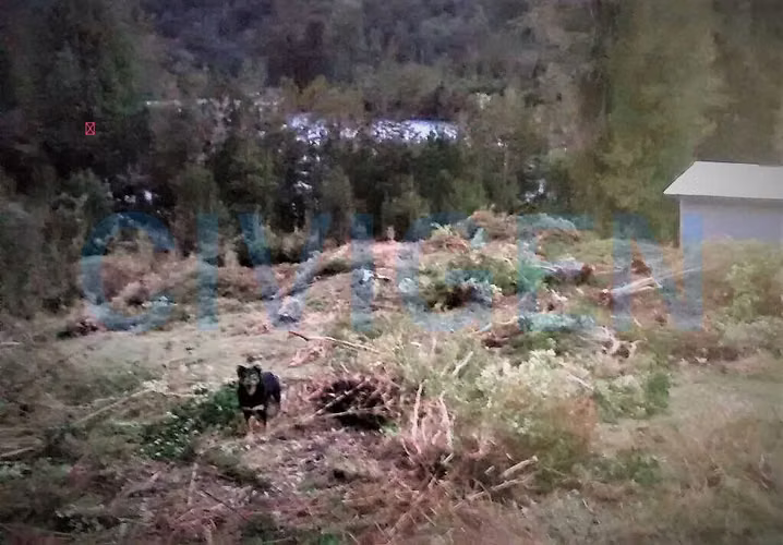 Orilla Río Puelo: 5.000m² y acceso rio o aéreo (185780)