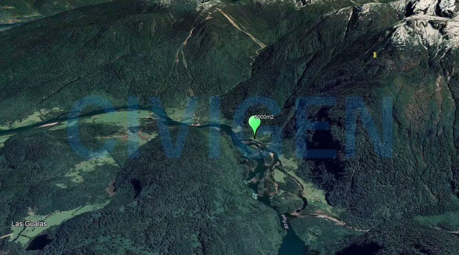 Orilla Río Puelo: 5.000m² y acceso rio o aéreo (185780)