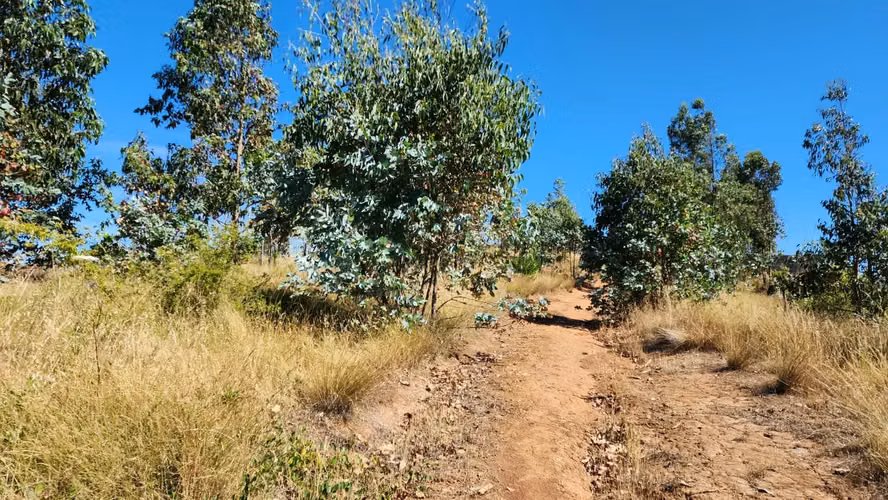 Parcela 8.700 m², camino a Cabrero - Imagen 12
