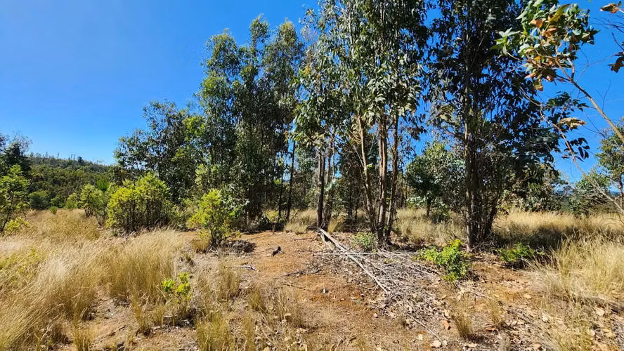 Parcela 8.700 m², camino a Cabrero - Imagen 15