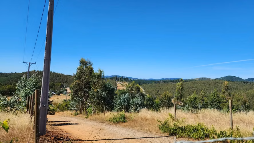 Parcela 8.700 m², camino a Cabrero - Imagen 13