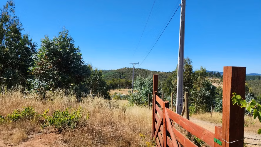 Parcela 8.700 m², camino a Cabrero - Imagen 14