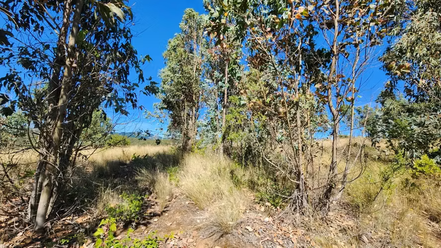 Parcela 8.700 m², camino a Cabrero - Imagen 10