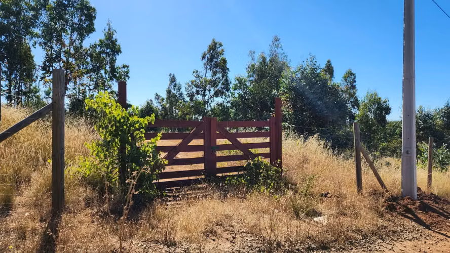 Parcela 8.700 m², camino a Cabrero - Imagen 5