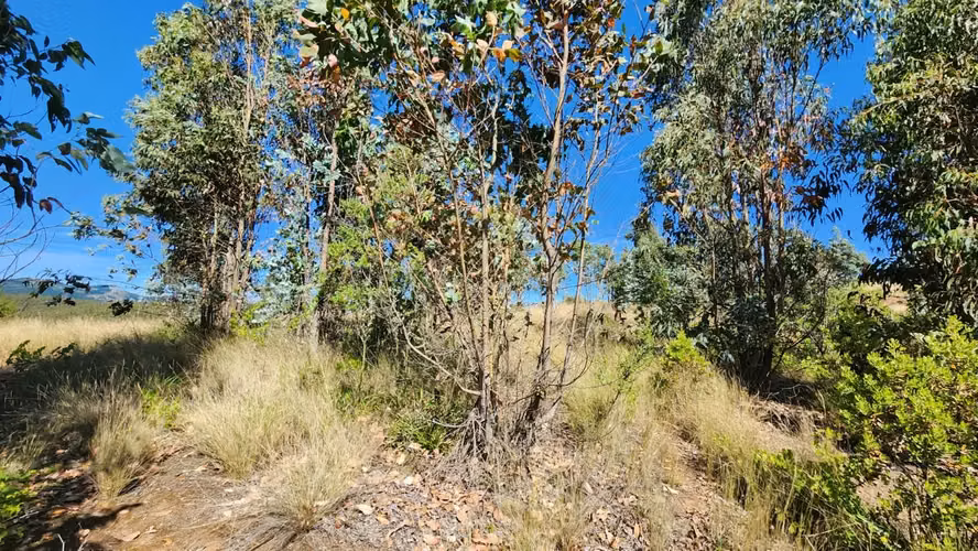Parcela 8.700 m², camino a Cabrero - Imagen 6
