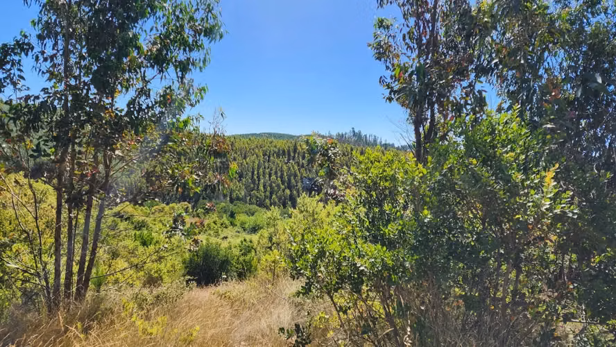 Parcela 8.700 m², camino a Cabrero - Imagen 16