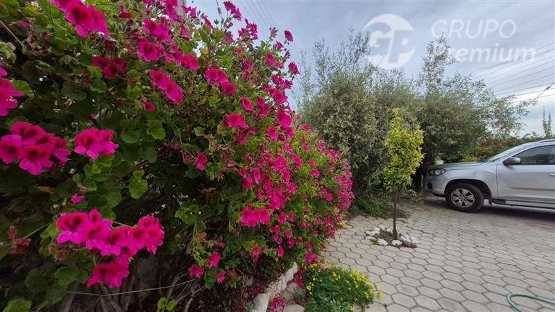Local Comercial en venta en Coquimbo - Imagen 18