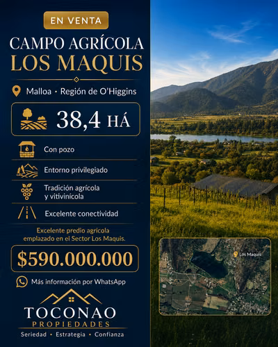 Campo agrícola 38,4 ha con pozo en Los Maquis, Malloa