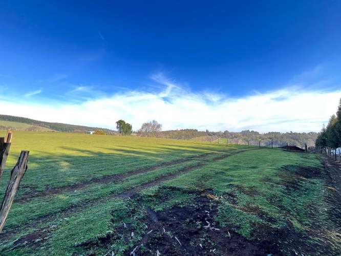 Venta de terreno 5979 m2. Camino San Miguel, Coihueco