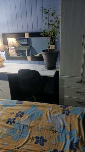 Arriendo Habitación en casa macul - Imagen 11