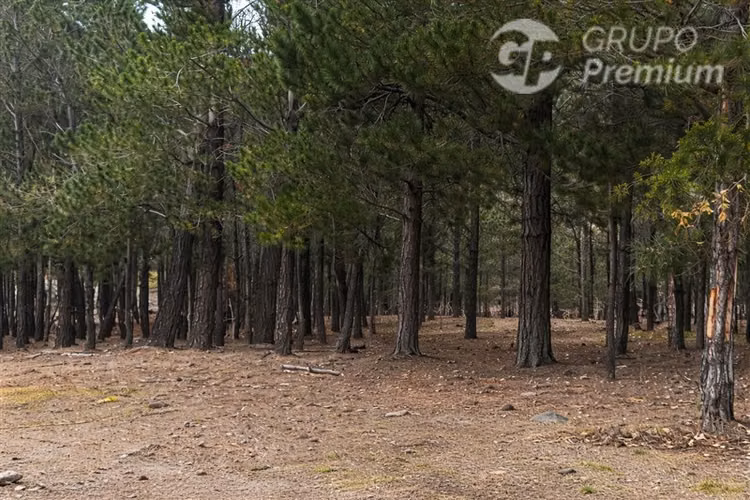 Terreno Agrícola con gran potencial en venta en Chile Chico