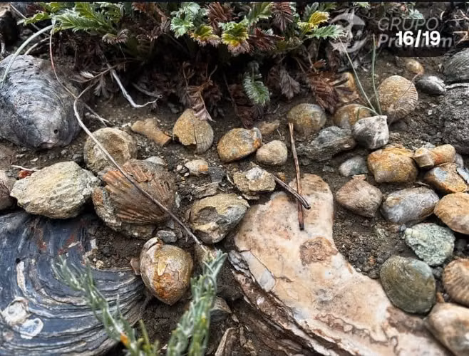 Terreno Agrícola con gran potencial en venta en Chile Chico